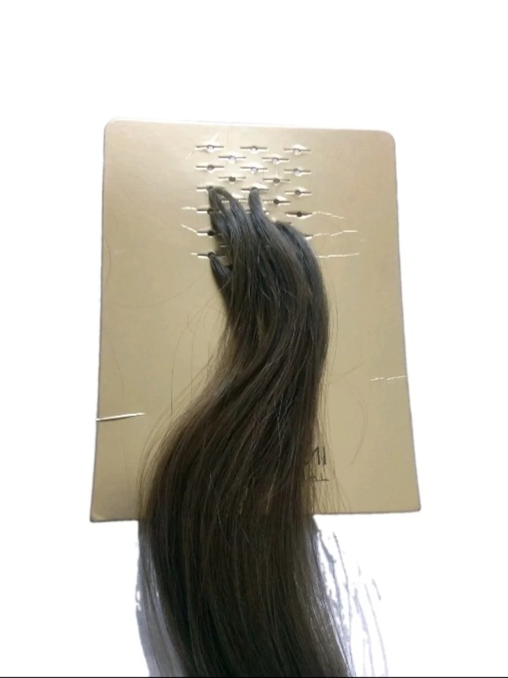 BELLAMI 18 walnut
